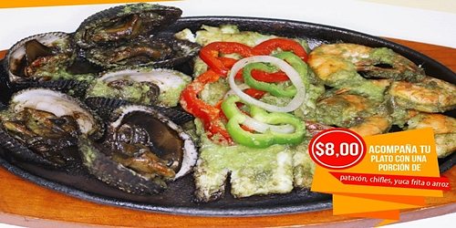 EL Manantial