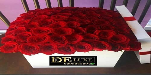 DECORACIONES FLORALES