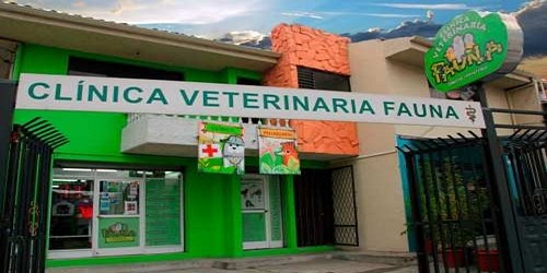 CLÍNICA VETERINARIA EN CUENCA - CLÍNICA VETERINARIA FAUNA