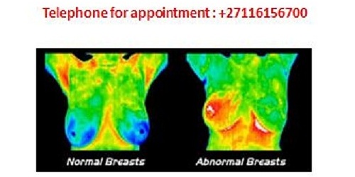 Thermography Scans by Mitronic