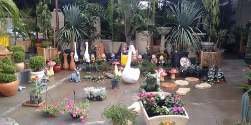 B & B Garden