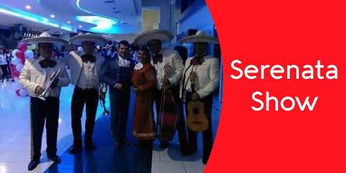 LUZ NELCY Y SU MARIACHI AMERICA