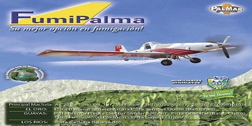 FUMIPALMA