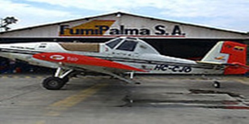 FUMIPALMA