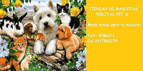 Tiendas de Mascotas Perlitas Pet´s