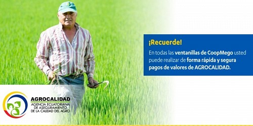 COOPERATIVA DE AHORRO Y CREDITO EN MACHALA COOPMEGO