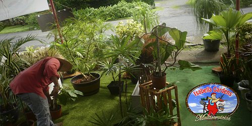 Isabella Gardens Multiservicios