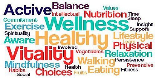 Geminnesse Asesoría Nutricional Corporativa
