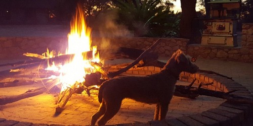 JAQUANDI SAFARIS / HUNTING SAFARIS