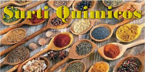 SURTI QUIMICOS PASTO
