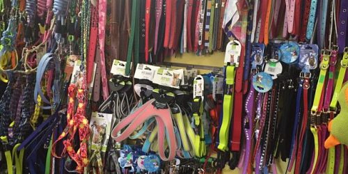 Q Price Store