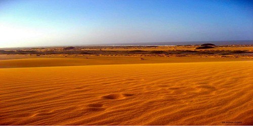 Wayuu Tours - Excursiones Punta Gallinas