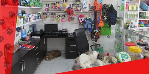 Clínica Veterinaria Can y Cat's