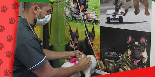 Clínica Veterinaria Can y Cat's