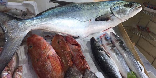 PESCHERIA IL CORALLO SCIACCA