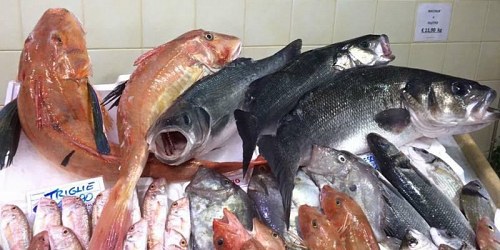 PESCHERIA IL CORALLO SCIACCA