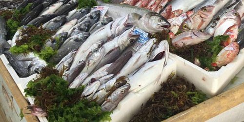 PESCHERIA IL CORALLO SCIACCA