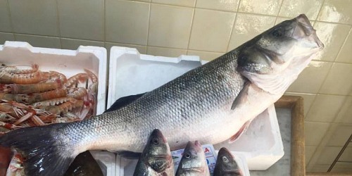 PESCHERIA CHIOSCO AZZURRO SCIACCA