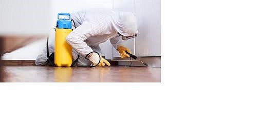 Soluciones y Servicios Scala 1 SAS
