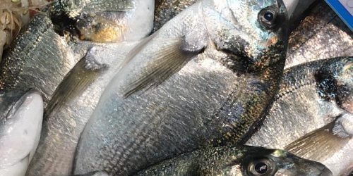 ISOLA FISH RIBERA PESCE E FRUTTI DI MARE