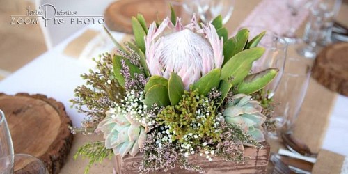 De Villiers Blomme