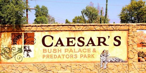 Caesar's Bush Palace 