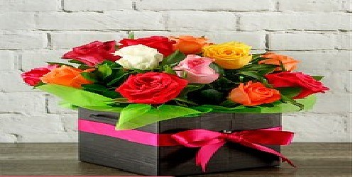 Parkview Flower Market