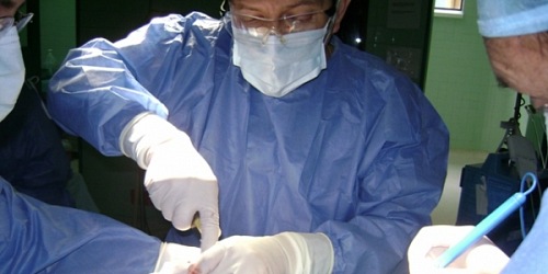 CLÍNICA VETERINARIA EN CUENCA - CLÍNICA VETERINARIA FAUNA