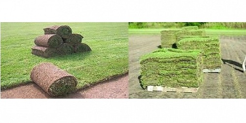 GrassWorx