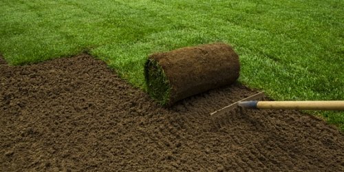 GrassWorx