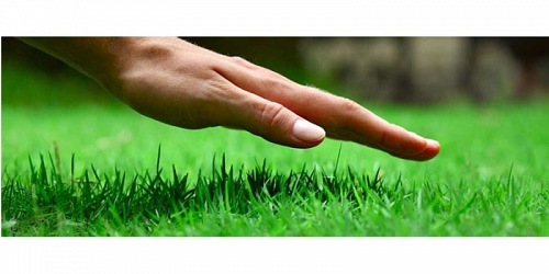 GrassWorx