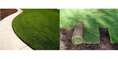 GrassWorx