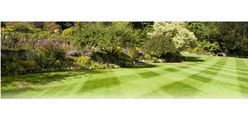 GrassWorx