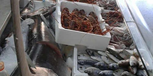 Onda Blu sciacca