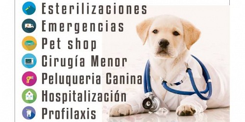 Clínica Veterinaria MEDICAL VET - GYE