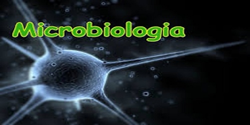 LABORATORIO DE ANÁLISIS CLÍNICO DKD EN MACHALA
