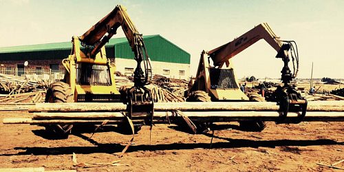 Treated Timber