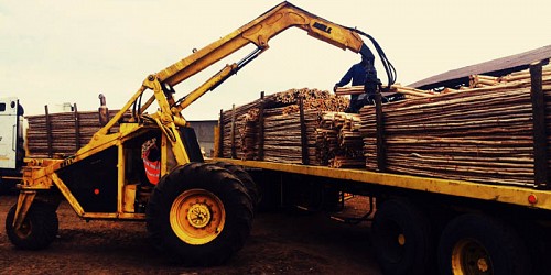 Treated Timber