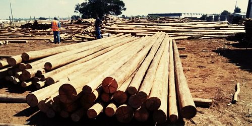 Treated Timber