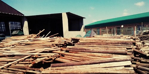 Treated Timber