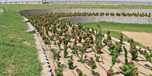 Buffalo Retaining Wall Suppliers and Installer