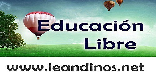 I. E. Virtual Andinos