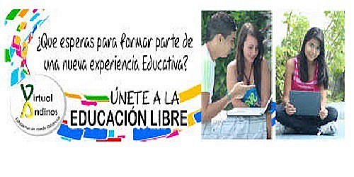 I. E. Virtual Andinos