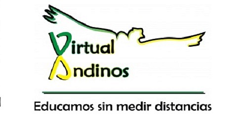 I. E. Virtual Andinos