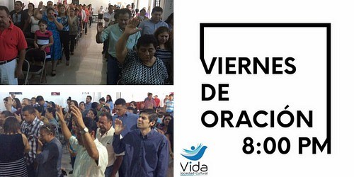 VIDA SOCIEDAD CULTURAL A.C.