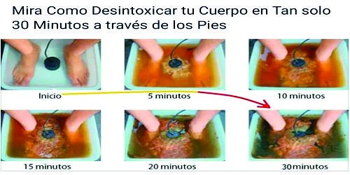Centro de Terapias Alternativas Salud Vital