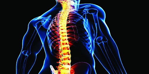 Centro de Terapias Alternativas Salud Vital