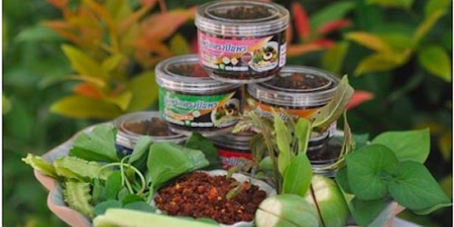 น้ำพริกตราปันพร แม่วาง เชียงใหม่