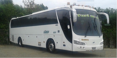 TRANS MATEUS SAS