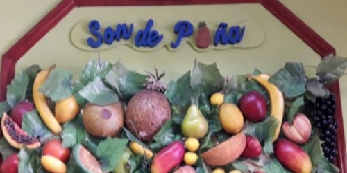 SON DE PIÑA LTDA